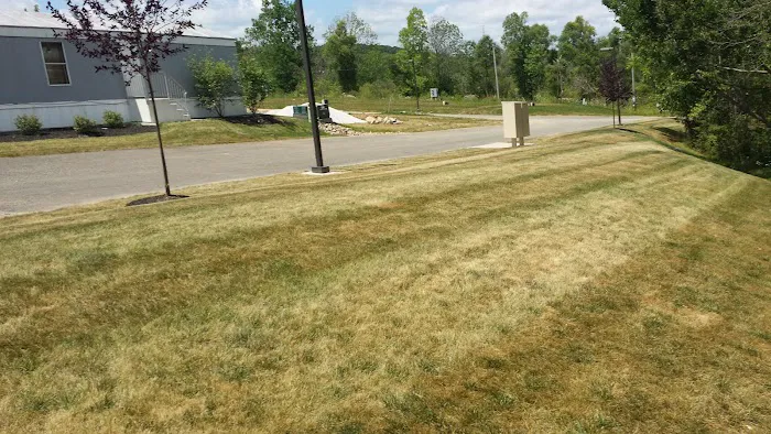 Verandah Properties Picture 7