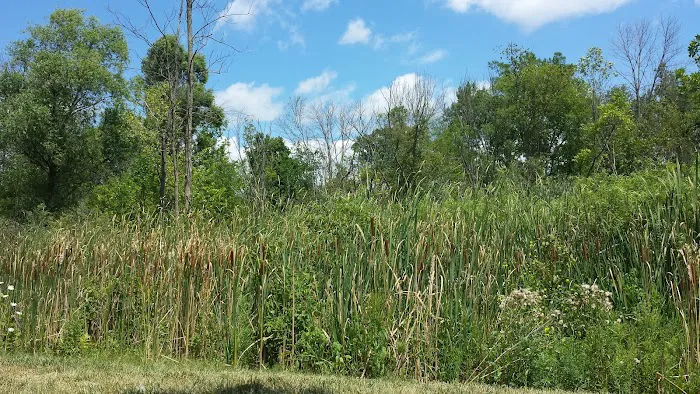 Verandah Properties Picture 2