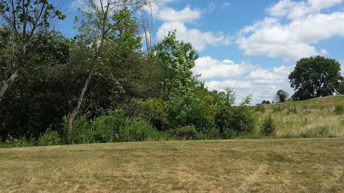 Verandah Properties Picture 3