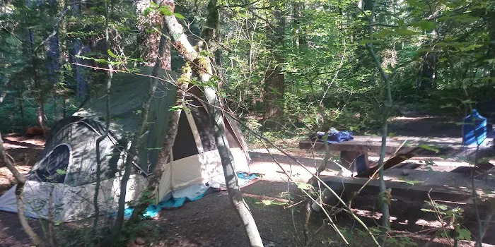 Alder Springs Campground Picture 5