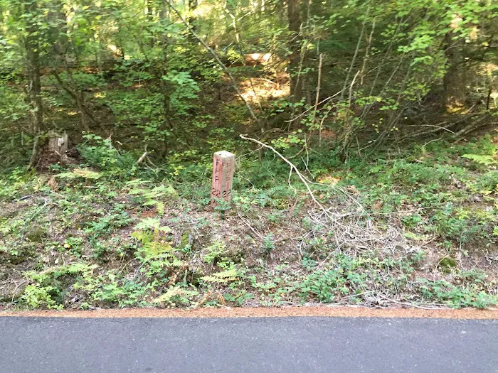 Alder Springs Campground Picture 10