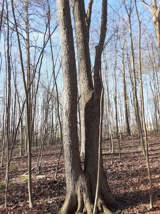 Hidden Lakes Picture 4