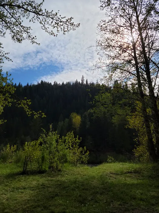 Sunnyside Campground Picture 7