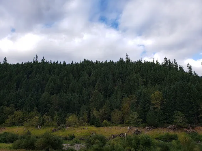 Sunnyside Campground Picture 1