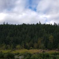 Sunnyside Campground ico