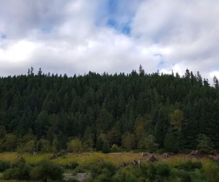 Sunnyside Campground