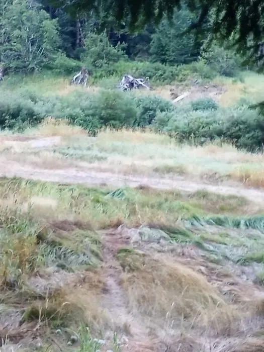 Sunnyside Campground Picture 6