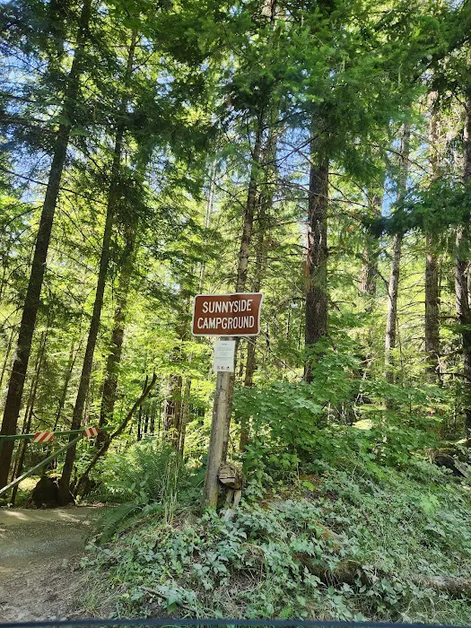 Sunnyside Campground Picture 8