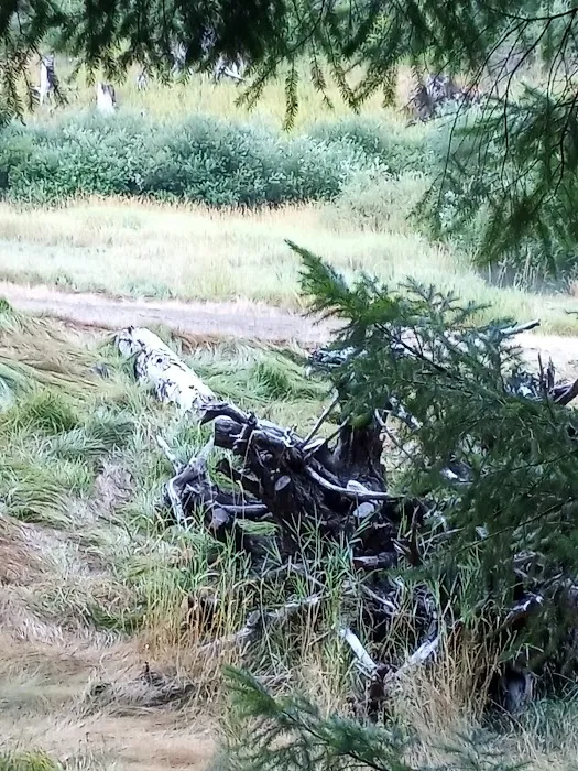 Sunnyside Campground Picture 9