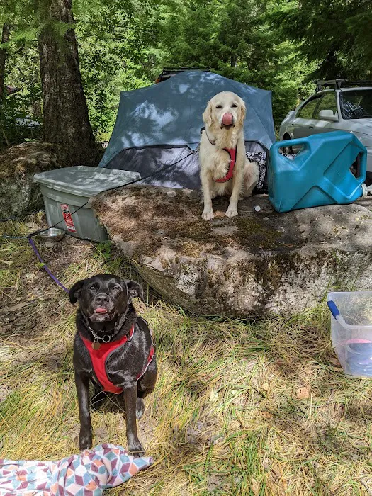 Sunnyside Campground Picture 10