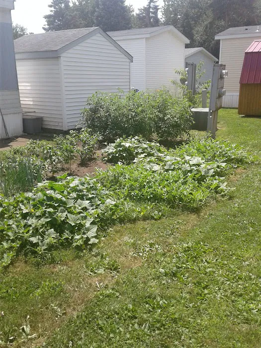 S & G Mobile Home Sales Picture 3