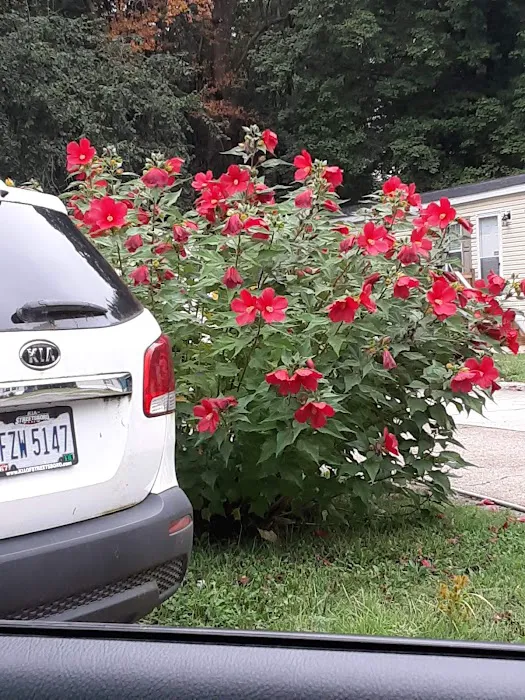 S & G Mobile Home Sales Picture 5