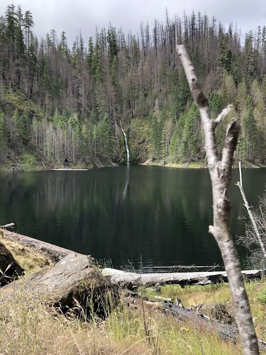 Cougar Crossing Campground And Day Use Area Picture 1
