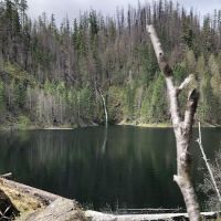 Cougar Crossing Campground And Day Use Area ico