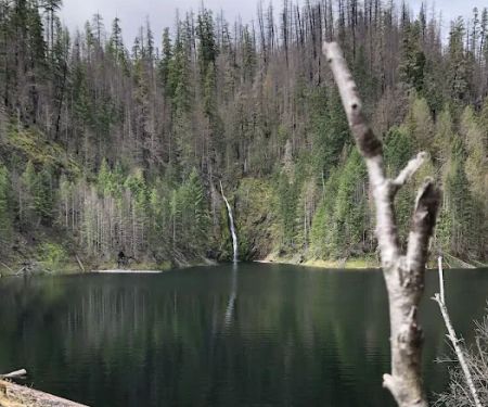 Cougar Crossing Campground And Day Use Area