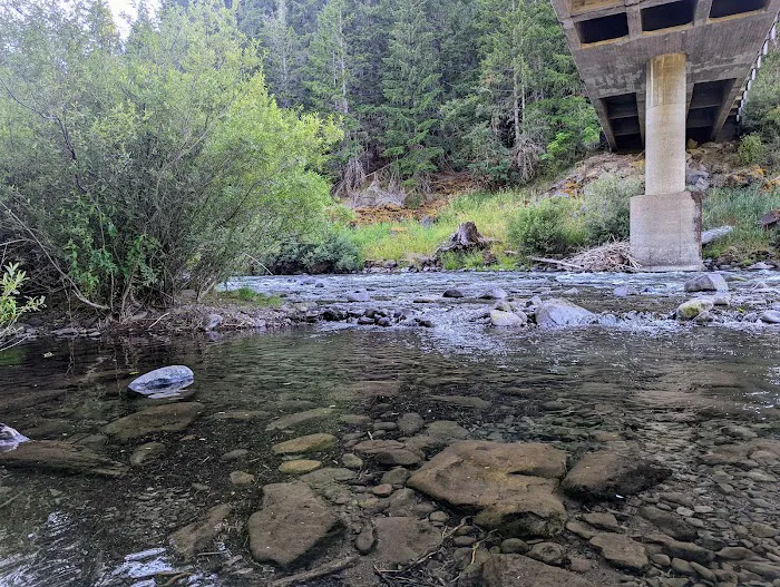 Cougar Crossing Campground And Day Use Area Picture 4