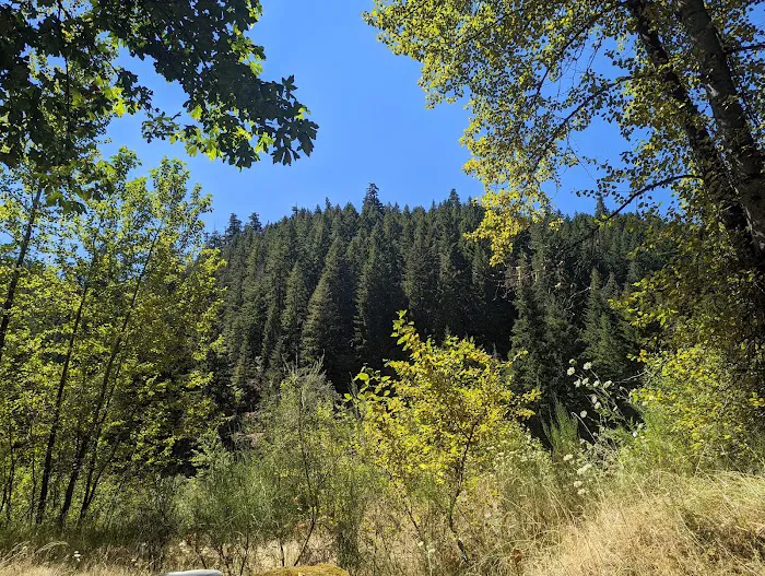 Cougar Crossing Campground And Day Use Area Picture 5