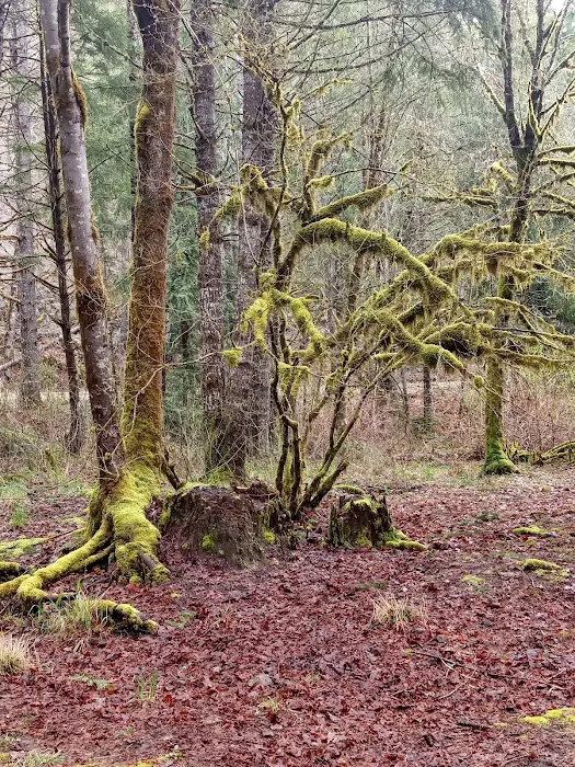 Cougar Crossing Campground And Day Use Area Picture 6