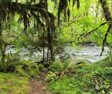 French Pete Campground