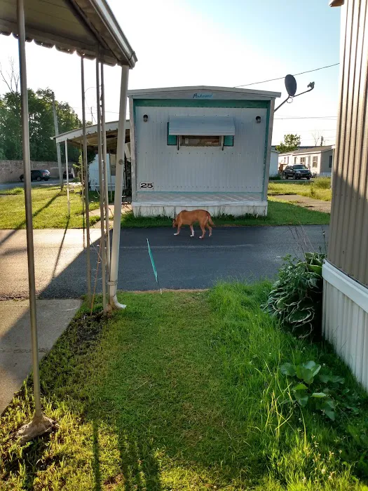 Parma Estates Mobile Home Community Picture 9