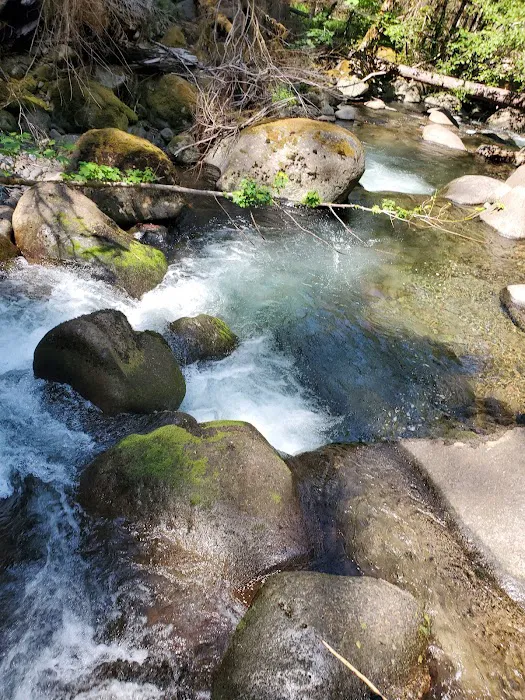 Hard Rock Group Campground Picture 5