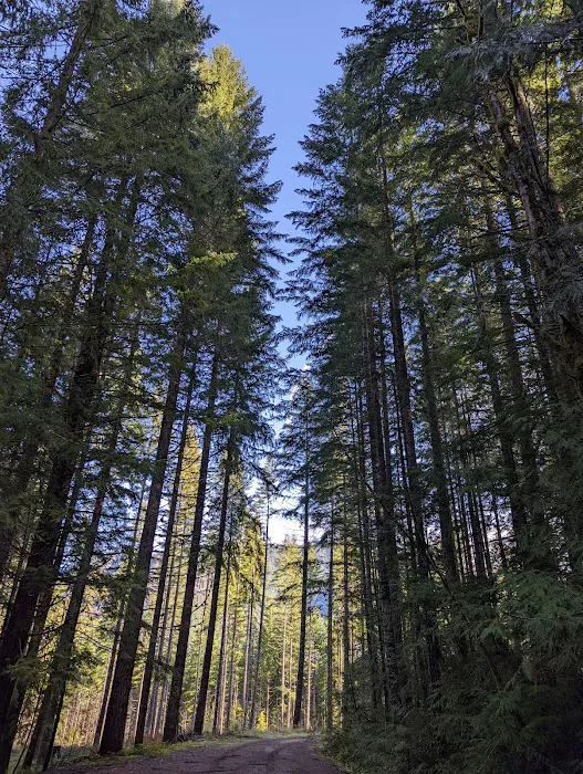 Hard Rock Group Campground Picture 2