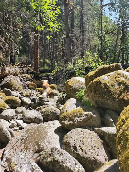 Hard Rock Group Campground Picture 7