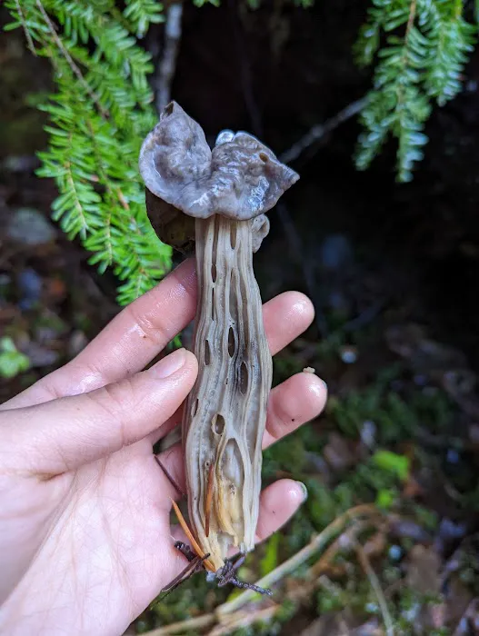 Hard Rock Group Campground Picture 1