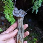 Hard Rock Group Campground