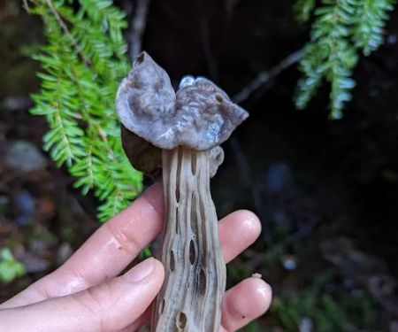 Hard Rock Group Campground