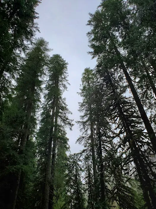 Red Diamond Group Campsite Picture 6