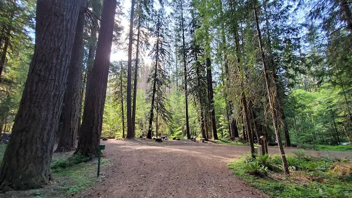 Red Diamond Group Campsite Picture 4