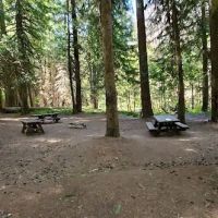 Red Diamond Group Campsite ico