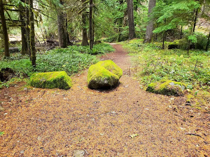 Red Diamond Group Campsite Picture 7