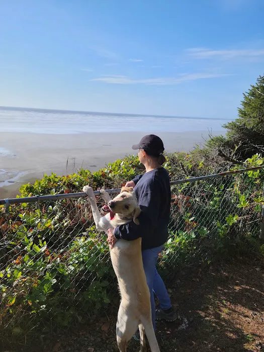 Orchard Estates Picture 9