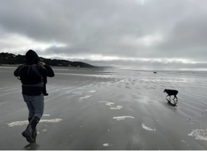 Winters by the Sea Picture 3