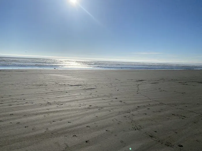 Winters by the Sea Picture 9