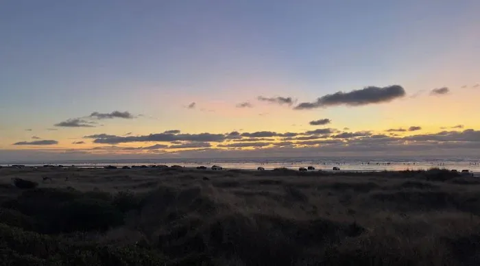 Winters by the Sea Picture 1