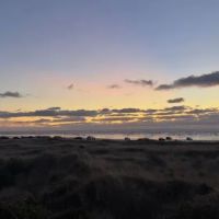 Winters by the Sea ico