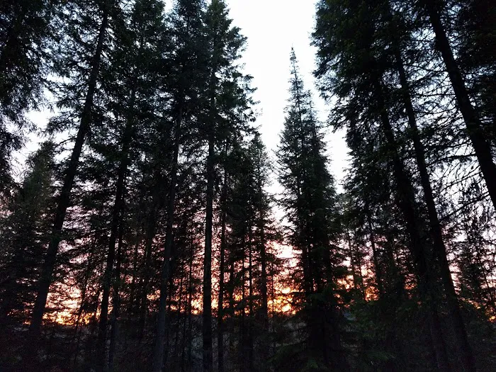 Lake Thomas Campground Picture 9