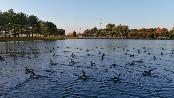 Imperial Communities & sales Picture 7