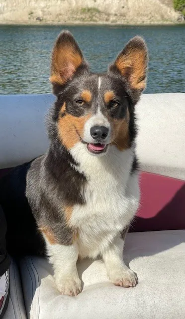 Blueslide - A Private Resort Picture 10