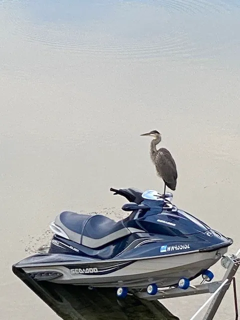 Blueslide - A Private Resort Picture 1