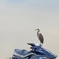 Blueslide - A Private Resort ico