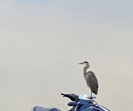 Blueslide - A Private Resort