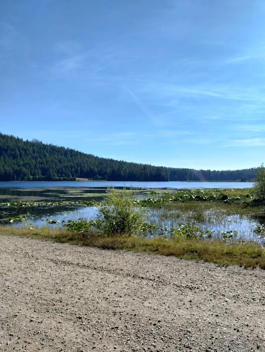 Big Meadow Lake Campground Picture 4