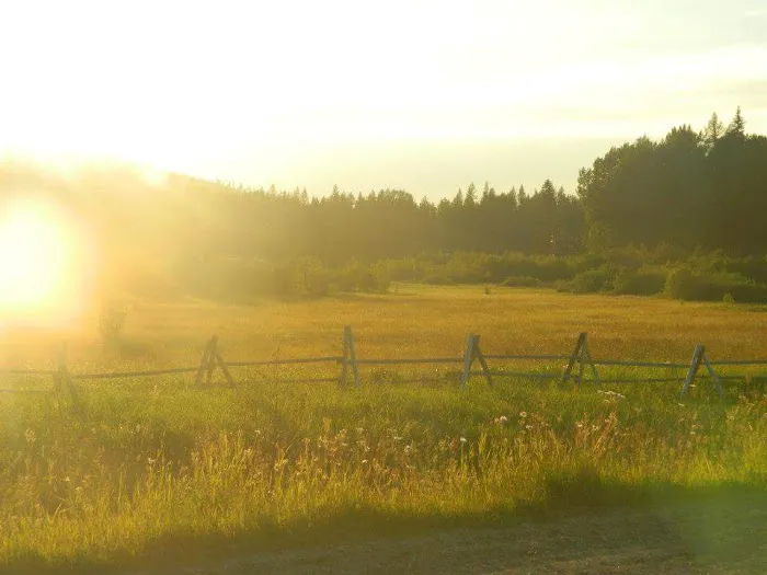 Big Meadow Lake Campground Picture 9