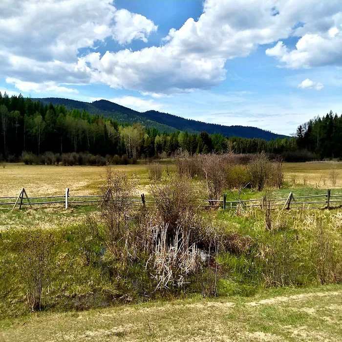 Big Meadow Lake Campground Picture 7