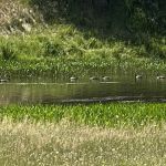 County Fair Campground