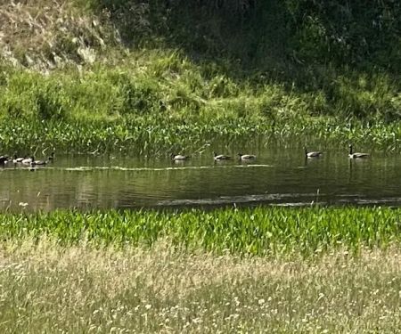 County Fair Campground